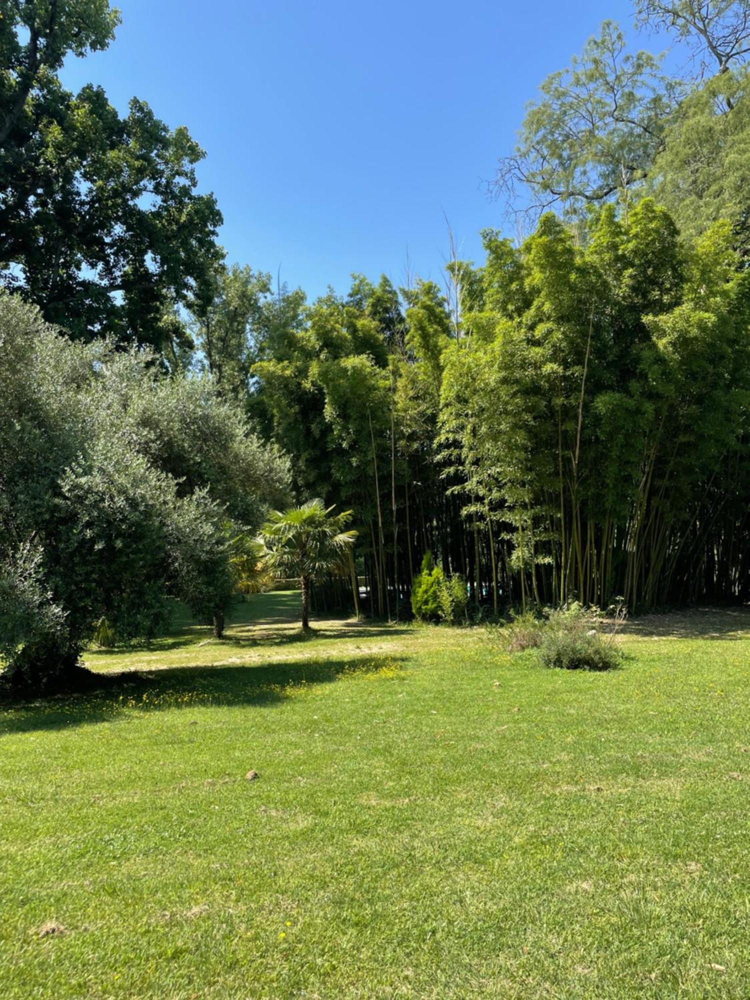 La Rebiere D'Or, B&B Et Gite Mouleydier Kültér fotó